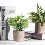 3 Pack Mini Artificial Eucalyptus Potted Plants
