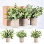 3 Pack Mini Artificial Eucalyptus Potted Plants