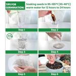 20,000+ Non-GMO Lettuce Seeds for Garden Planting