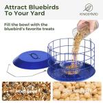 Kingsyard Bluebird Feeders for Outdoors Hanging, All Metal, Cage Mealworm Bird Feeder with Tray, Squirrel Proof & Weatherproof, Easy to Refill & Clean (Blue)