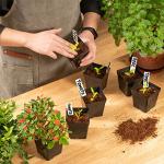 June Fox Square Nursery Pots 3.3 Inches Flexible Plastic Seedling Pots Square Pots for Plants, Succulent, Flower, Pack of 60, with 60 PCS Plant Labels