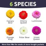 California Giants Zinnia Seeds - 1 Ounce Packet