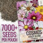 Crazy Cosmos Wildflower Seed Mix - 7,000+ Seeds