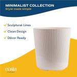 Costa Farms White Bird of Paradise Live Plant in Decorative Pot, Large Indoor Houseplant, Perfect for Home, Room, or Office Decor, Great House Warming or Birthday Gift, 2-3 Feet Tall