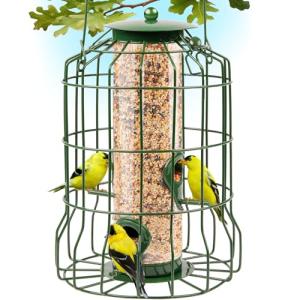 GrayBunny Squirrel-Proof Feeder for Wild Birds
