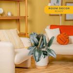 Burgundy Rubber Plant - Indoor Ficus Elastica