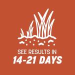 Pennington Bermudagrass Grass Seed 5 lb