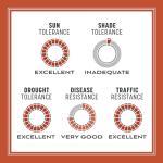 Pennington Bermudagrass Grass Seed 5 lb