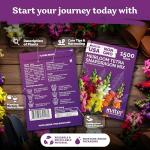 KVITER 1,500 Tetra Mix Snapdragon seeds (Antirrhinum Majus) – Heirloom & Organic Tall Snap Dragon Mix, Annual Flower Garden seeds, Cut Flower Seeds for Planting – Ideal for Outdoor Garden & Containers