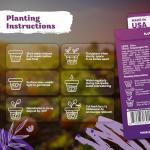 KVITER 1,500 Tetra Mix Snapdragon seeds (Antirrhinum Majus) – Heirloom & Organic Tall Snap Dragon Mix, Annual Flower Garden seeds, Cut Flower Seeds for Planting – Ideal for Outdoor Garden & Containers