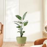 WEICHENGXING Plant Pots,12/10/9/8/ Inch Large Plastic Self Watering Flower Pots Indoor Outdoor with Drainage Holes, Deep Reservoir,Nursery Planting Pot for Indoor Out Door Plants