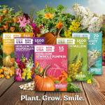 KVITER 1,500 Tetra Mix Snapdragon seeds (Antirrhinum Majus) – Heirloom & Organic Tall Snap Dragon Mix, Annual Flower Garden seeds, Cut Flower Seeds for Planting – Ideal for Outdoor Garden & Containers