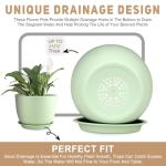 YNNICO Plant Pots 12/10/9 inch Set of 3, Flower Pots with Multi Mesh Drainage Holes, Large Planters for Indoor Outdoor Garden Plants and Flowers. (Green)