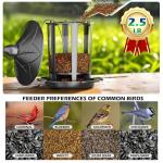 Birdream 2 Pack Bird Feeders for Outdoor Hanging, Assembly Required, 1-Min Easy Setup, Charming Castle Design, Attracting Cardinals Chickadees Goldfinches & Sparrows - Black