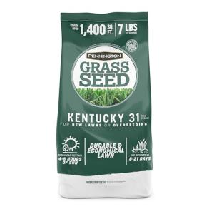 Pennington Kentucky 31 Tall Fescue Grass Seed 7 lb