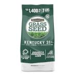 Pennington Kentucky 31 Tall Fescue Grass Seed 7 lb