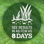 Pennington Kentucky 31 Tall Fescue Grass Seed 7 lb