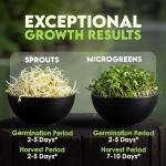 Nature Jims Sprouts Salad Sprout Mix - Organic Salad Mix for Growing - Non-GMO Microgreen Seeds - Healthy Broccoli, Alfalfa, Radish, Clover Sprouting Seeds Variety Mix - Microgreens Growing 1lb