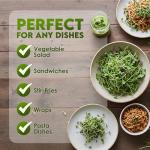 Nature Jims Sprouts Salad Sprout Mix - Organic Salad Mix for Growing - Non-GMO Microgreen Seeds - Healthy Broccoli, Alfalfa, Radish, Clover Sprouting Seeds Variety Mix - Microgreens Growing 1lb