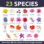 Butterfly & Hummingbird Wildflower Seed Mix - 1 oz