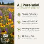 Perennial Wildflower Seed Mix for Planting