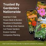 Perennial Wildflower Seed Mix for Planting