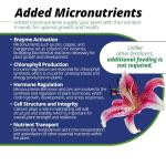 Jack's Classic 20-20-20 All Purpose Water-Soluble Fertilizer with Micronutrients to Provide General Growth on All Plants, 1.5lbs