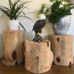 VV-Ladybug Bald Eagle Garden Statues, Outdoor Resin Sculptures, Christmas Animal Decor for Patio Porch Yard, Home Garden Desk Office Decor Art Figurine Ornament