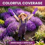 PLANTMEW 20000+pcs Creeping Thyme Seeds for Planting – Non-GMO Ground Cover Flowers –10g Fragrant Flowers Herb Seeds for Planting Lawns & Paths