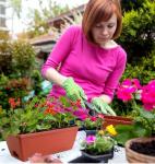 LOCONHA Window Box Planter, 7 Pack Plastic Vegetable Flower Planters Boxes 17 Inches Rectangular Flower Pots with Saucers for Indoor Outdoor Garden, Patio, Home Decor