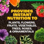 Pennington Water Soluble All Purpose Plant Food 20-10-20 8/1.5lb