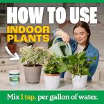 Pennington Water Soluble All Purpose Plant Food 20-10-20 8/1.5lb