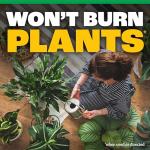 Pennington Water Soluble All Purpose Plant Food 20-10-20 8/1.5lb