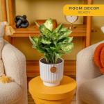 Costa Farms Dieffenbachia, Live Indoor Plant in Décor Plant Pot, Potted Houseplant in Potting Soil Mix, Real Plants Gift for Mom, Dad, 12-14 Inches Tall