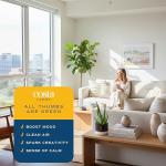 Costa Farms Aloe Vera Live Plant in Decorative Pot, Easy to Maintain, Air Purifying Succulent Indoor Houseplant, Home, Room, or Office Decor, House Warming or Birthday Gift, 12-18 Inches Tall