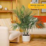 Costa Farms Majesty Palm Live Plant in Decorative Pot, Indoor Houseplant, Perfect for Home, Room, or Office Decor, Great House Warming or Birthday Gift, 3-4 Feet Tall