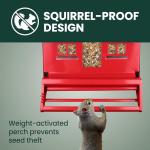 Perky-Pet Squirrel-Be-Gone II Country House Bird Feeder with Weathervane - 8 lb Seed Capacity - Squirrel Proof Wild Bird Feeder for Outdoors - Durable Construction - Rustic Outdoor Decor - 338, Red