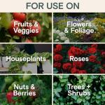 Organic Insecticide & Fungicide for Plants — Indoor/Outdoor Protection to Control Powdery Mildew, Spider Mites, Aphids, Whiteflies, Fungus Gnats — Safe on Vegetables & Lawns — Concentrate Spray, 16oz