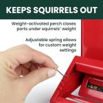 Perky-Pet Squirrel-Be-Gone II Country House Bird Feeder with Weathervane - 8 lb Seed Capacity - Squirrel Proof Wild Bird Feeder for Outdoors - Durable Construction - Rustic Outdoor Decor - 338, Red