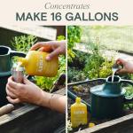 Organic Insecticide & Fungicide for Plants — Indoor/Outdoor Protection to Control Powdery Mildew, Spider Mites, Aphids, Whiteflies, Fungus Gnats — Safe on Vegetables & Lawns — Concentrate Spray, 16oz