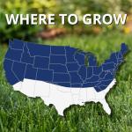 Jonathan Green (10322) Black Beauty Ultra Grass Seed - Cool Season Lawn Seed (7 lb)