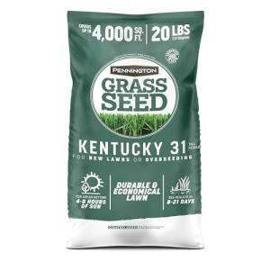 Pennington Kentucky 31 Tall Fescue Grass Seed 20 lb