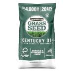 Pennington Kentucky 31 Tall Fescue Grass Seed 20 lb