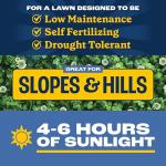 Pennington Smart Seed Clover and Grass Mix 7 lb