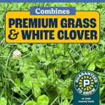 Pennington Smart Seed Clover and Grass Mix 7 lb