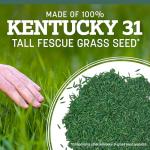 Pennington Kentucky 31 Tall Fescue Grass Seed 20 lb