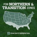 Pennington Kentucky 31 Tall Fescue Grass Seed 20 lb