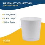 Majesty Palm Live Plant in Modern Decor Planter