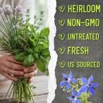 Culinary Herb Seeds Variety Pack – 12 Types