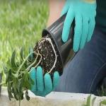 Garden Gloves for Women with Foam Grip (Set of 3)